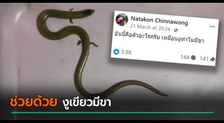 สัตว์เลื้อยคลาน