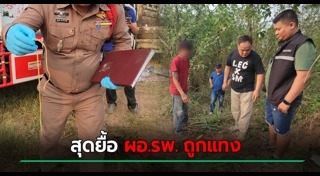 แทงกันตาย