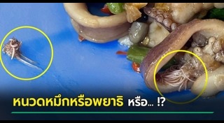 ปลาหมึก