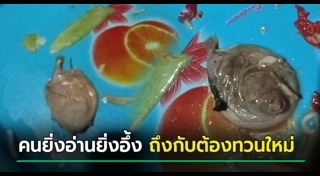 ปลาปักเป้า