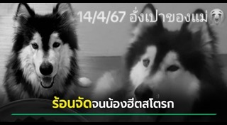 ฮีตสโตรก