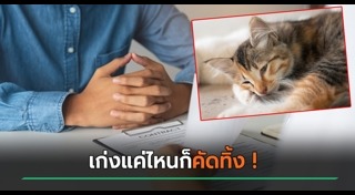 ทำร้ายแมว