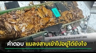 เครื่องชงกาแฟ