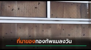 แมลงวัน