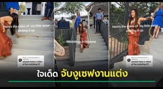 จับงูมือเปล่า