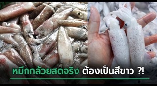 ปลาหมึก