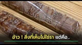 ช็อกโกแลต