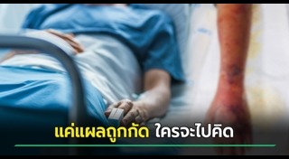 แบคทีเรีย