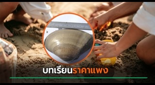 บทเรียนชีวิต