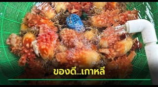 อาหารเกาหลี