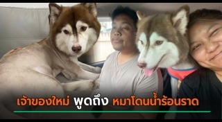 ทารุณสัตว์