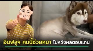 ทารุณสัตว์