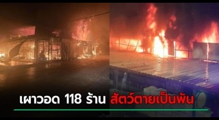 สวนจตุจักร