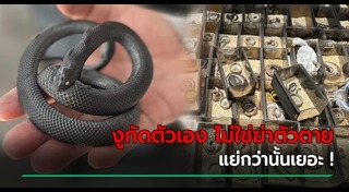 ไฟไหม้จตุจักร