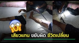 งูเห่าเข้าบ้าน