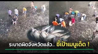 ปลาหมอคางดำ