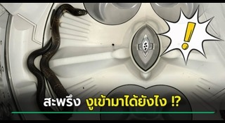 งูเห่าเข้าบ้าน