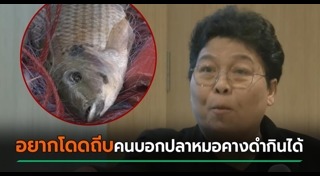 ปลาหมอคางดำ