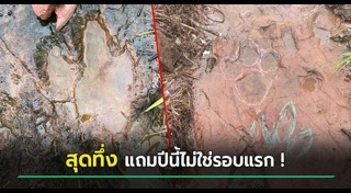 ไดโนเสาร์