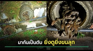 ท่อระบายน้ำ