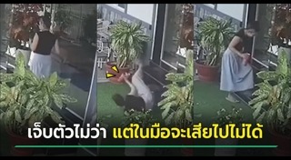 ชาไข่มุก