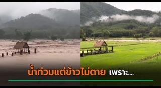 น้ำท่วม 2567