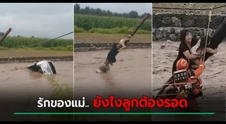 ความรักของแม่