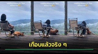 ช่วยหมา