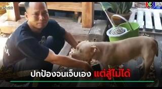 เลี้ยงสุนัข