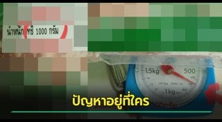 เนื้อหมู