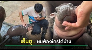 สวนสัตว์เปิด