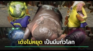 สัตว์น่ารักๆ