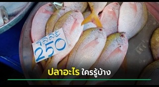 อาหารทะเล