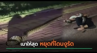 งูกินคน