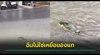 น้ำท่วมต่างประเทศ