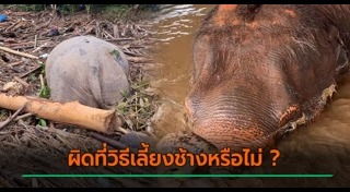 น้ำท่วมไทย