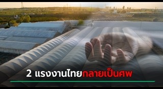 ลักลอบเข้าเมือง