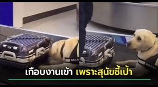 สุนัขตำรวจ