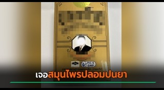 สมุนไพร