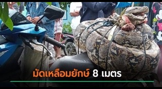 อินโดนีเซีย