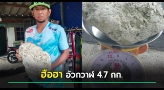 อำพันทะเล