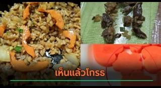 ปลาแซลมอน