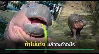 สัตว์น่ารักๆ