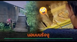 โฮมสเตย์