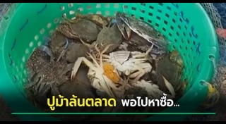 อาหารทะเล