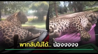 ซาฟารีเวิลด์