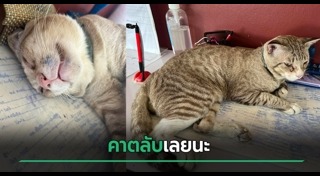 สถานีตำรวจ