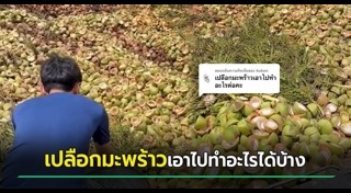 ทิ้งขยะ