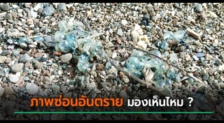 สัตว์มีพิษ