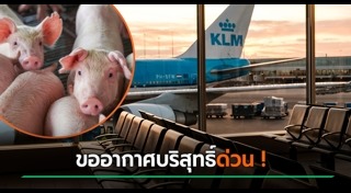 เครื่องบินลงจอดฉุกเฉิน